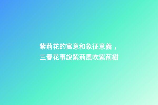 紫荊花的寓意和象征意義，三春花事說紫荊風吹紫荊樹-第1張-觀點-玄機派